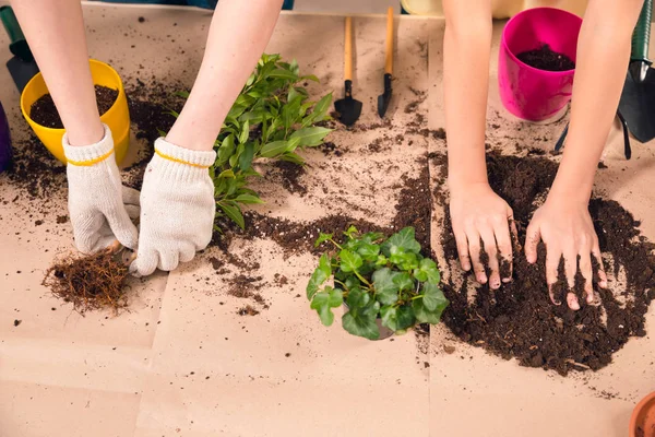 Vue recadrée de la mère et de la fille avec des plantes à table sur le porche — Photo de stock