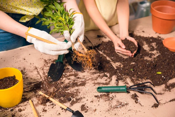 Vista recortada de la madre y la hija con plantas en la mesa en el porche - foto de stock