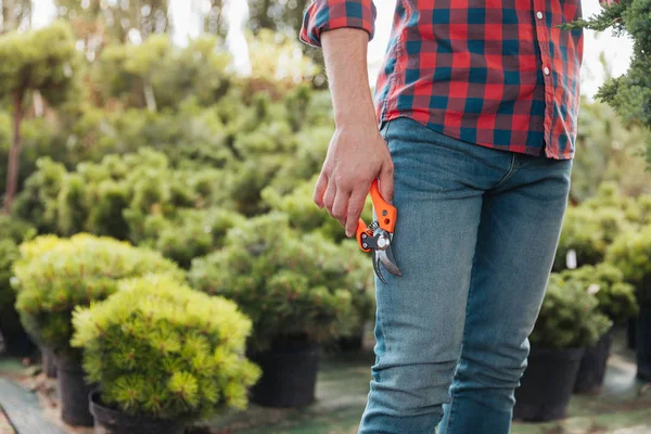 Jardinier avec cisailles à élagage à la main — Photo de stock