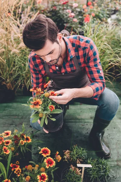Jardinero comprobar flor en jardín - foto de stock