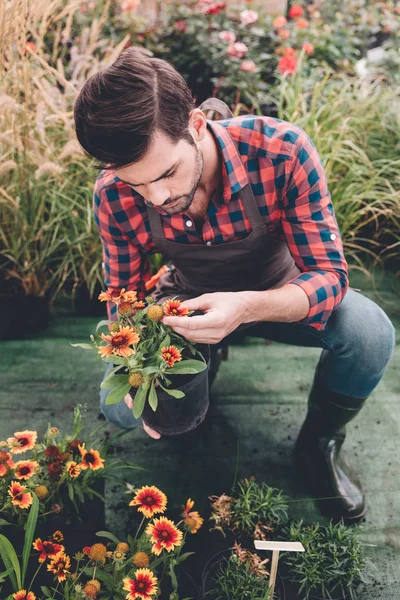 Gärtner überprüft Blume im Garten — Stock Photo