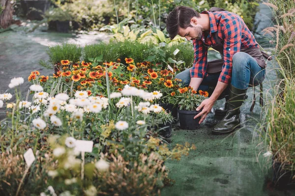Jardinero trabajando en el jardín - foto de stock