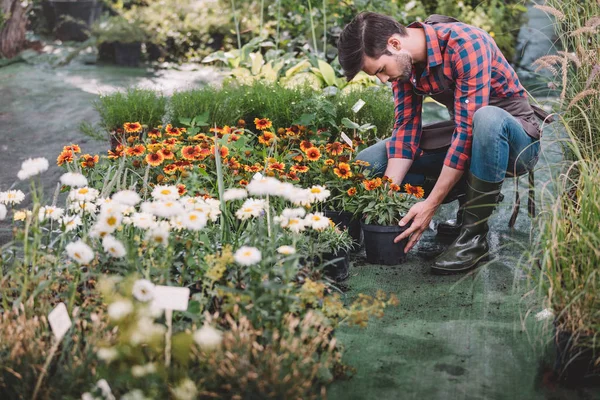 Jardineiro trabalhando no jardim — Fotografia de Stock