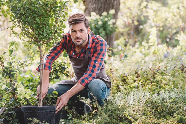 Joven jardinero trabajando en el jardín - foto de stock