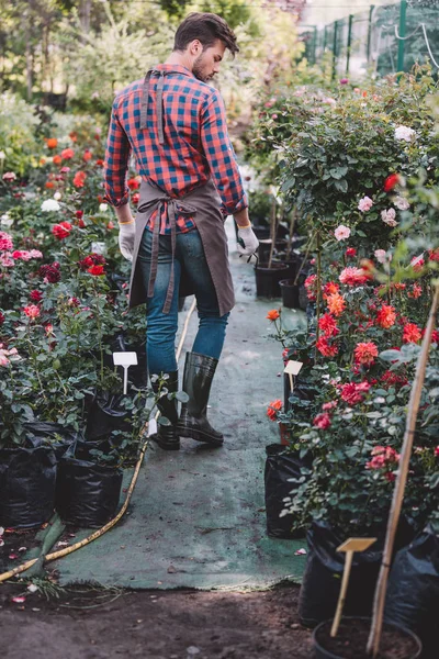 Jardinero en delantal caminando en jardín - foto de stock