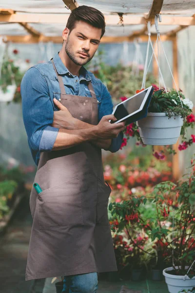 Jardinero con tableta en invernadero - foto de stock