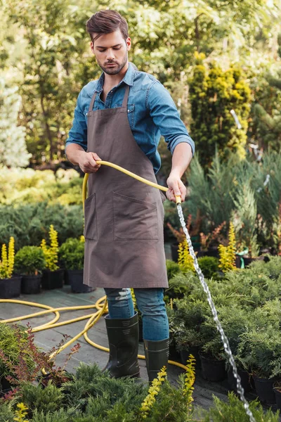 Jardinier dans les plantes d'arrosage de tablier — Photo de stock