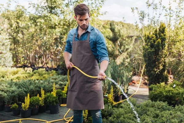 Gardener in apron watering plants — Stock Photo