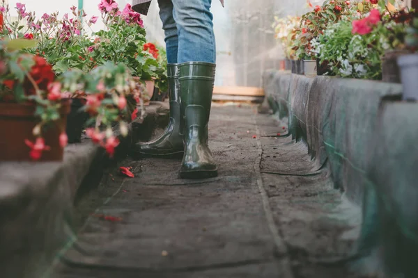 Jardinier debout dans la serre — Photo de stock