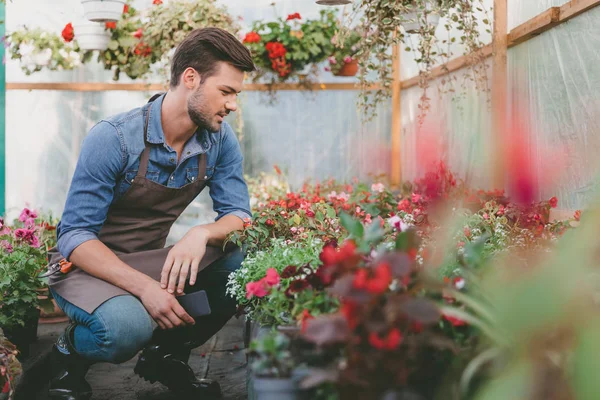 Giardiniere con smartphone in serra — Foto stock