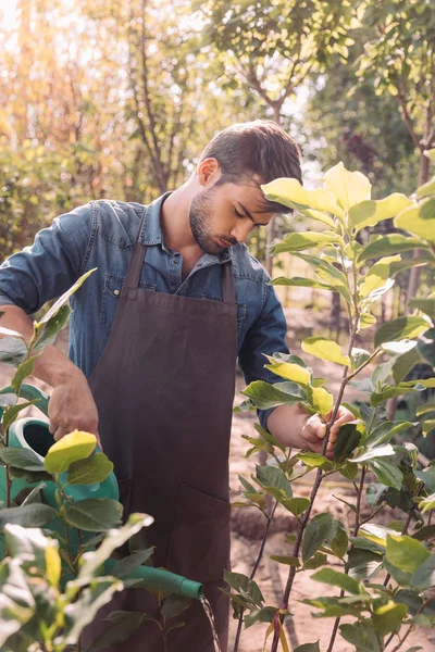 Gardener watering plants — Stock Photo