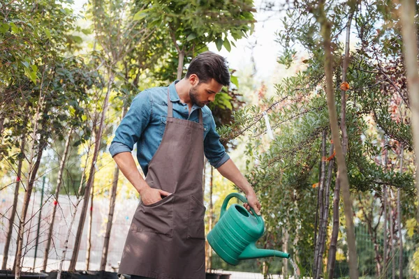 Gardener watering plants — Stock Photo