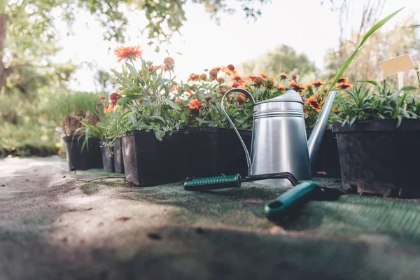Regar lata, espátula de mão e ancinho no jardim — Fotografia de Stock