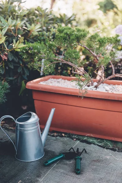 Watering can, hand trowel and rake in garden — Stock Photo