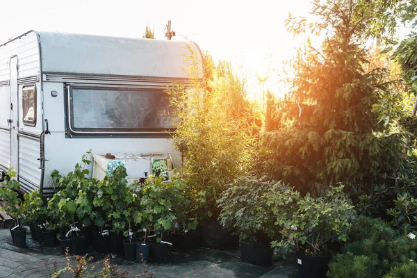 Leerer Garten mit Anhänger und Pflanzen — Stockfoto