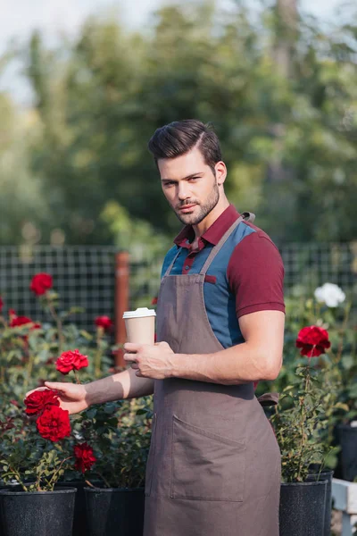 Jardinier avec café pour aller dans le jardin — Photo de stock
