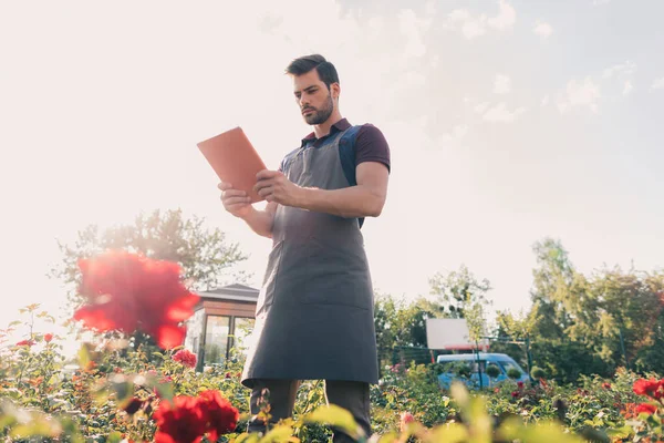 Giardiniere con tavoletta durante lavoro in giardino — Foto stock