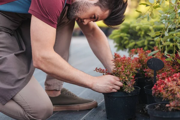 Jardinier vérifier les plantes — Photo de stock