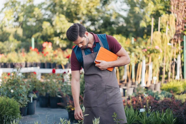 Садовник с цифровой планшет в саду — стоковое фото