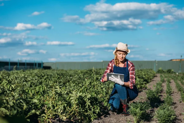 Agricultor trabajando con tableta digital - foto de stock