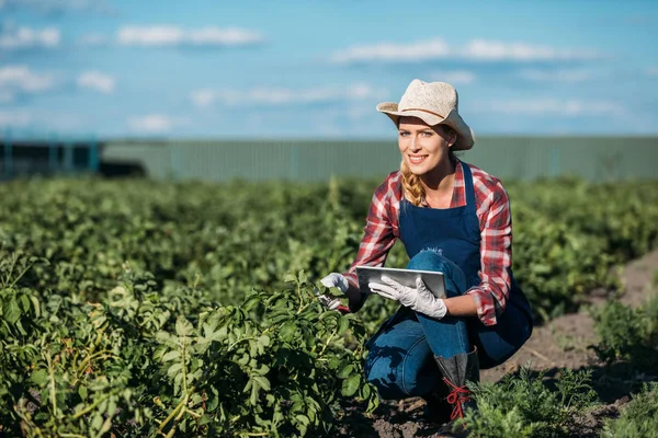 Agricultor trabajando con tableta digital - foto de stock