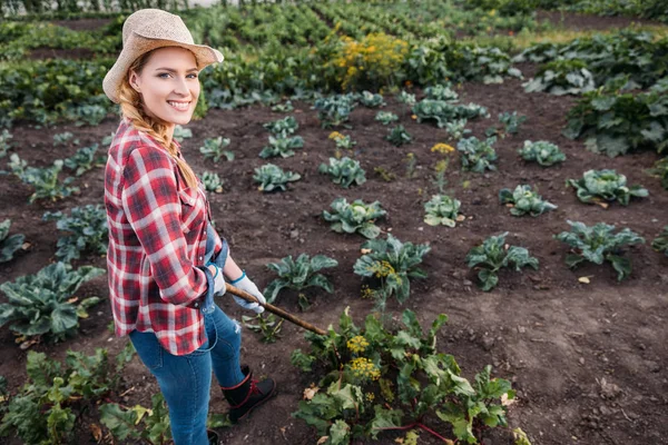 Farmer hoeing beets — Stock Photo