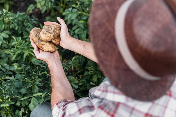 Фермер тримає картоплю в полі — стокове фото