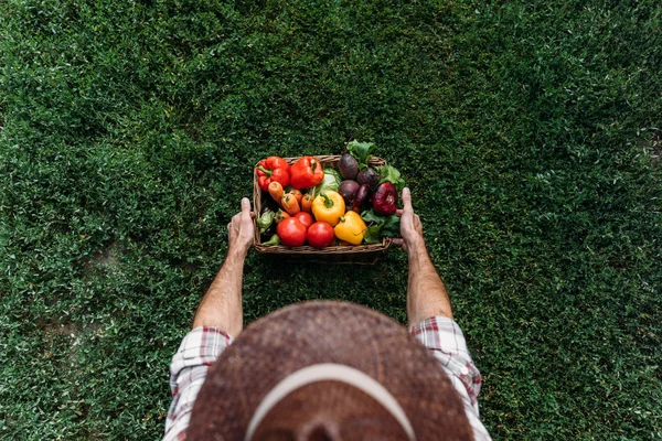 Cesto de exploração do agricultor com legumes — Fotografia de Stock