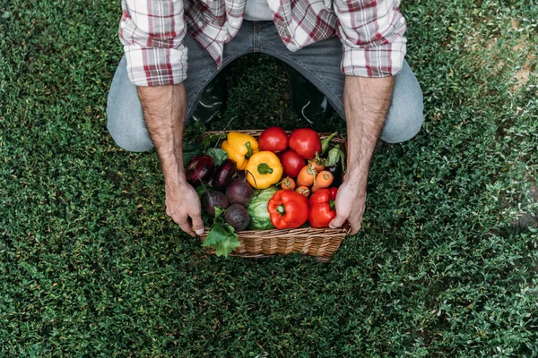 Farmer holding basket with vegetables — Stock Photo