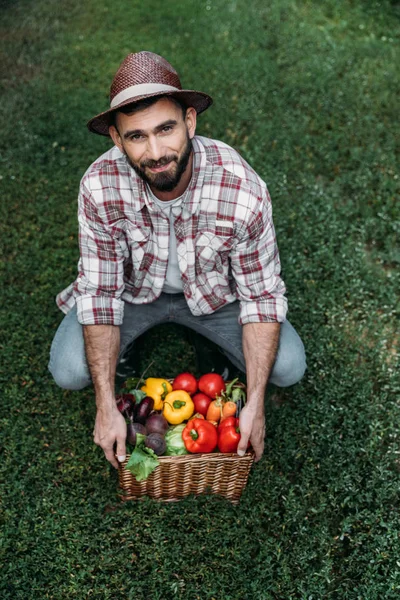 Cesto de exploração do agricultor com legumes — Fotografia de Stock