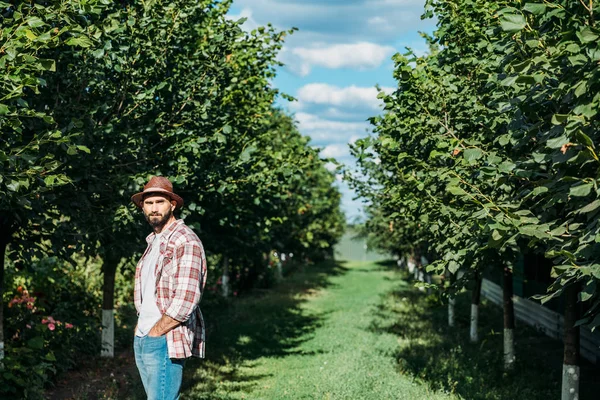 Confident farmer in orchard — Stock Photo
