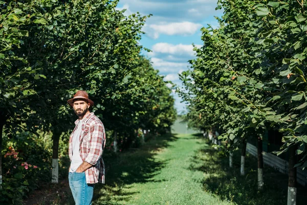 Agricultor confiante no pomar — Fotografia de Stock