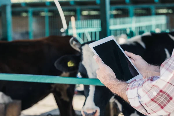 Agricoltore che utilizza tablet digitale — Foto stock