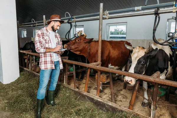 Farmer taking notes in cowshed — Stock Photo