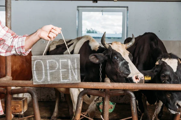 Farmer with open sign in cowshed — Stock Photo