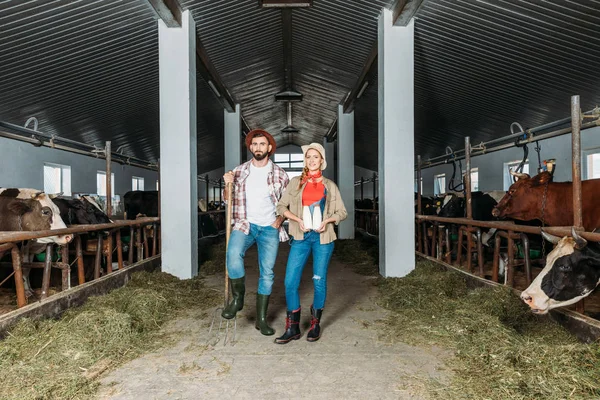 Agricultores com leite fresco no estábulo — Fotografia de Stock