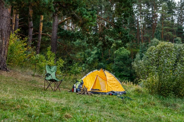 Camping con tienda en el bosque - foto de stock