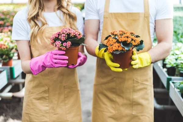 Couple de jardiniers en gants tenant des pots avec des fleurs — Photo de stock