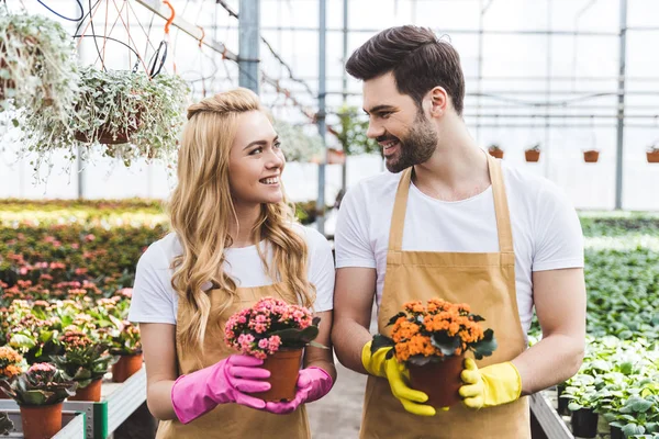 Jardiniers portant des gants de protection et tenant des fleurs en fleurs dans des pots — Photo de stock