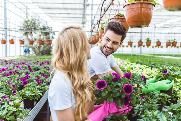 Jardineros con guantes protectores y plantando flores en macetas - foto de stock