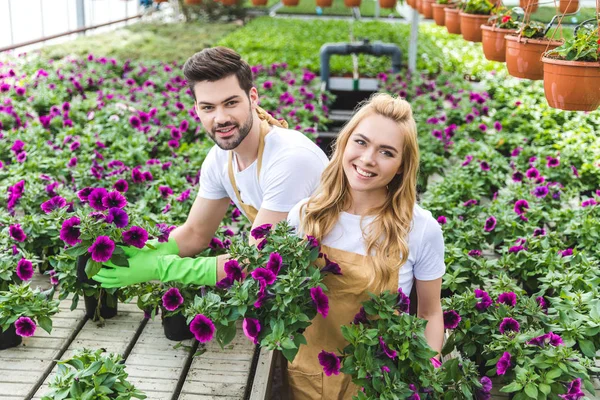 Pareja de jardineros en guantes sosteniendo macetas con flores - foto de stock