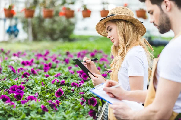 Pareja de jardineros con portapapeles llenando órdenes de flores en invernadero - foto de stock