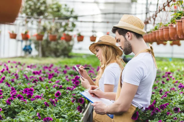 Молодые садовники с планшетами заполняют заказы цветов в теплице — стоковое фото