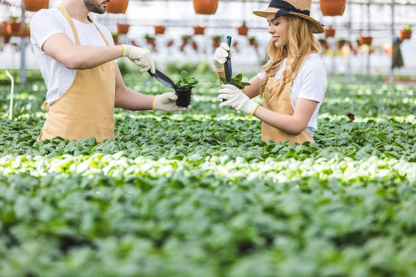 Jovens jardineiros masculinos e femininos com pás plantando flores em estufa — Fotografia de Stock