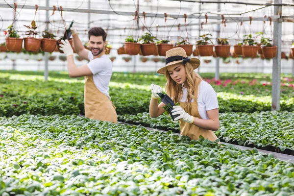 Giardinieri sorridenti con pale piantare fiori in serra — Foto stock