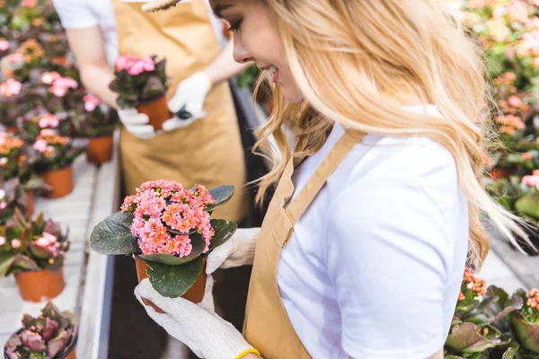 Lächelnde Frau mit Blumen vom Gärtner im Gewächshaus — Stockfoto