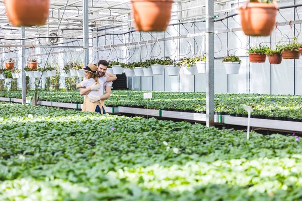 Pareja de jóvenes jardineros abrazándose en invernadero - foto de stock