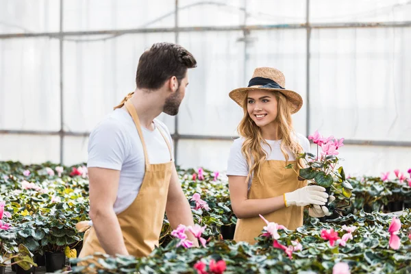 Jeunes jardiniers masculins et féminins organisant des fleurs de cyclamen — Photo de stock