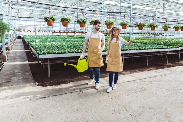 Frau mit Harke und Mann mit Gießkanne arbeiten im Gewächshaus — Stockfoto