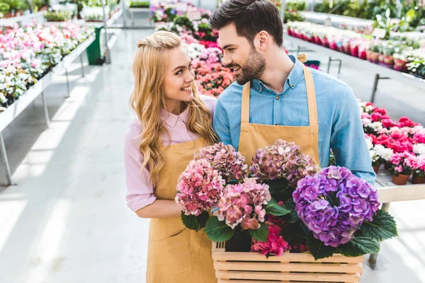 Young male and female gardeners holding pots with hortensia flowers — Stock Photo